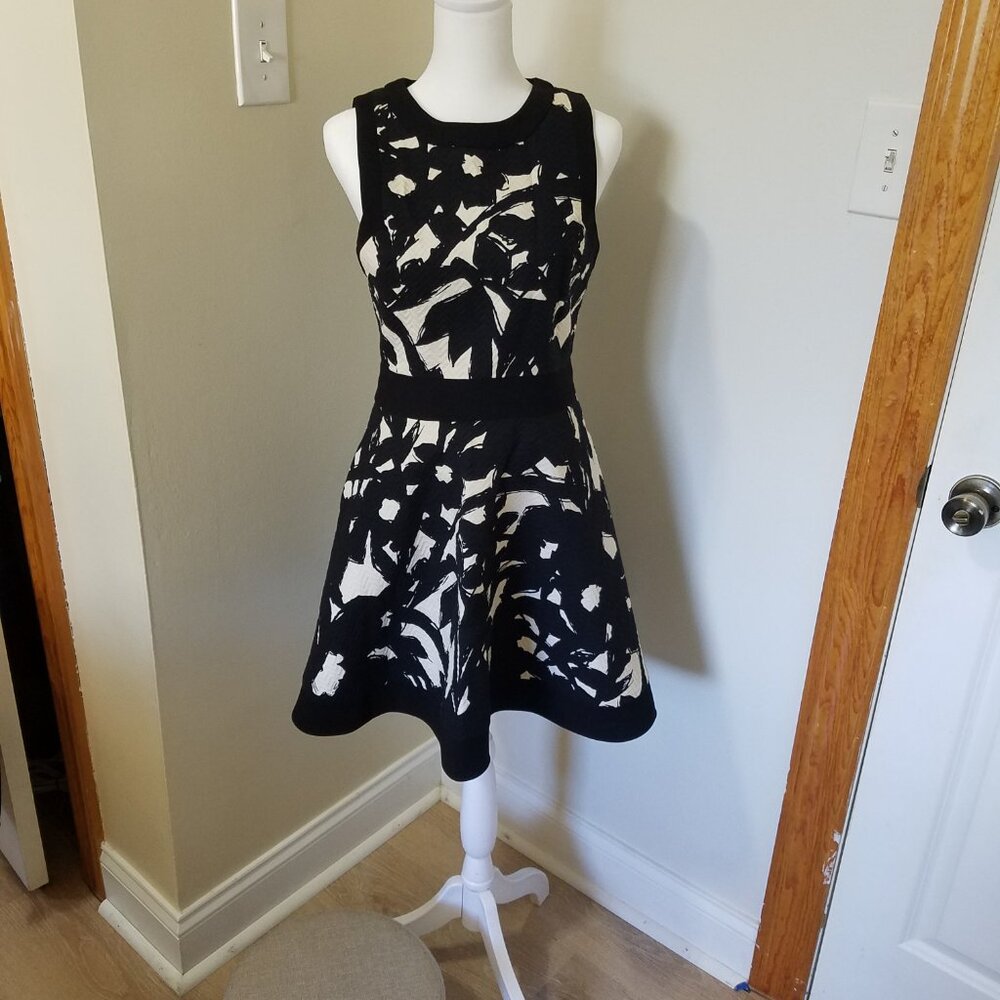 Banana Republic Dress Size 4